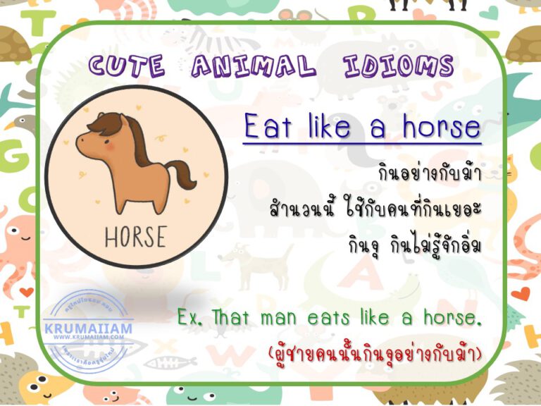 10 สำนวน เกี่ยวกับสัตว์ Cute Animal Idiom พร้อมรูปภาพและคำอธิบายน่ารักๆ