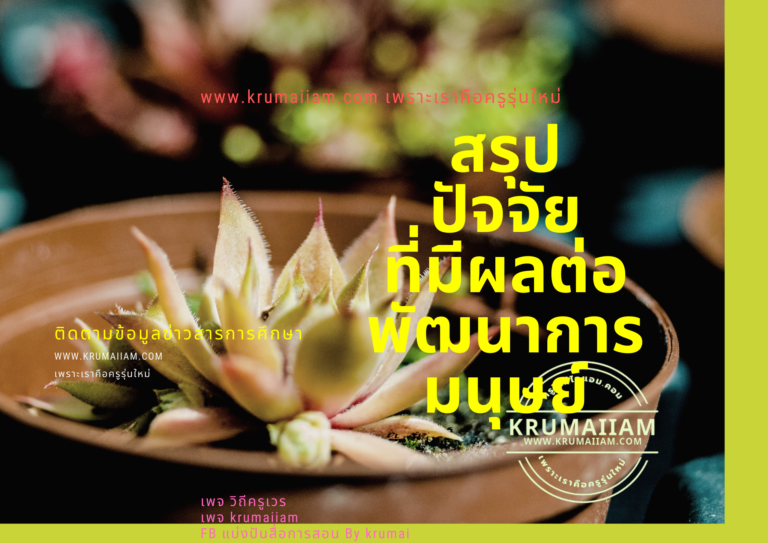 ปัจจัยที่มีผลต่อพัฒนาการมนุษย์