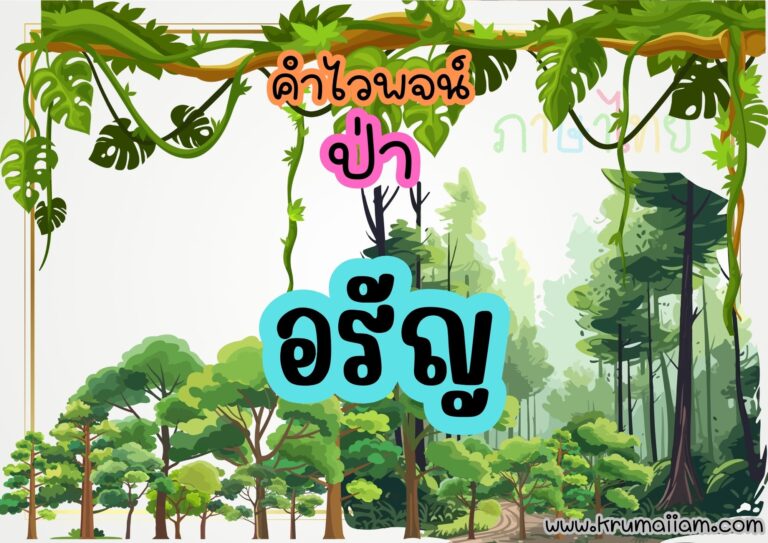 แบ่งปันสื่อตกแต่งห้องเรียน คำไวพจน์ ป่า